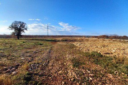 ŽERAVA KOD ZADRA - 9.000m2 za NAJAM