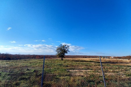 ŽERAVA KOD ZADRA - 9.000m2 za NAJAM