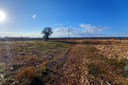 ŽERAVA KOD ZADRA - 9.000m2 za NAJAM